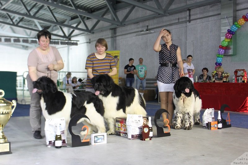 Фотография № 152978