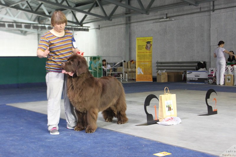 Фотография № 152979