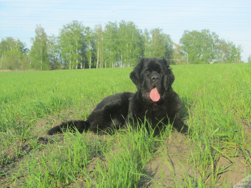 Фотография № 153001