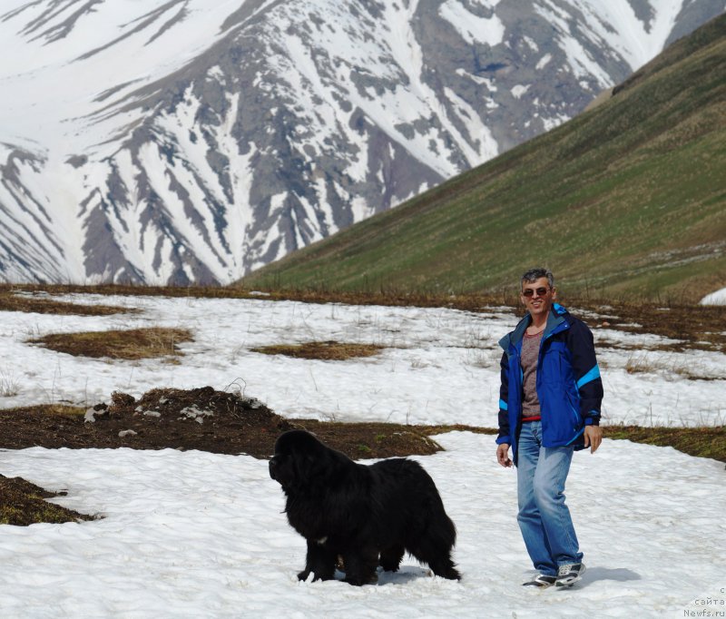 Фотография № 153026