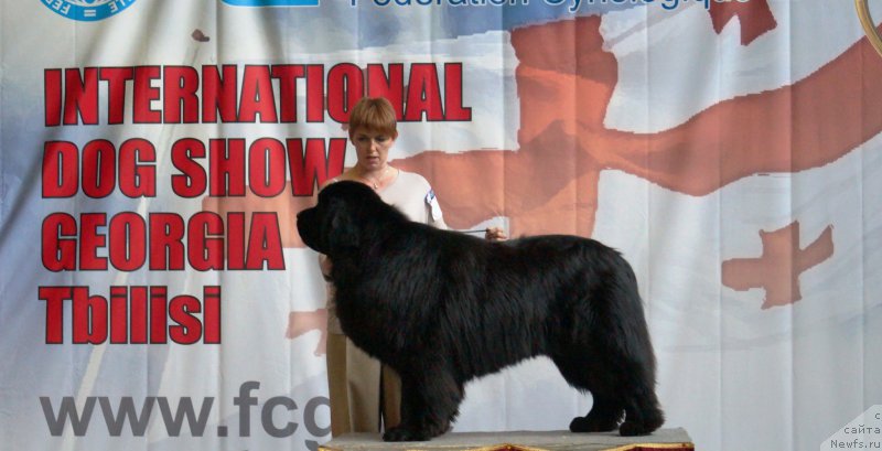 Фотография № 153037