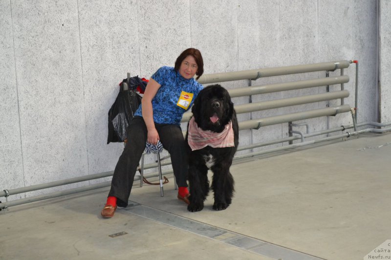 Фотография № 153045