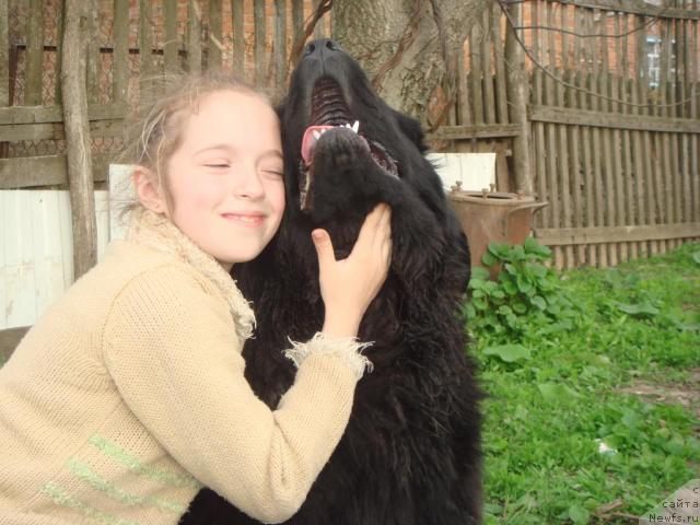 Фотография № 15306