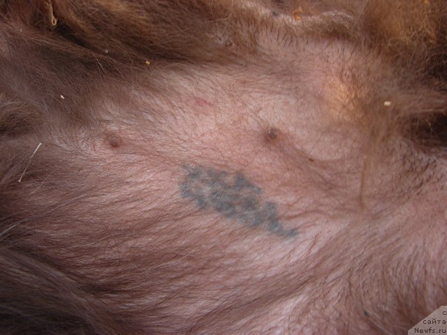 Фотография № 153104