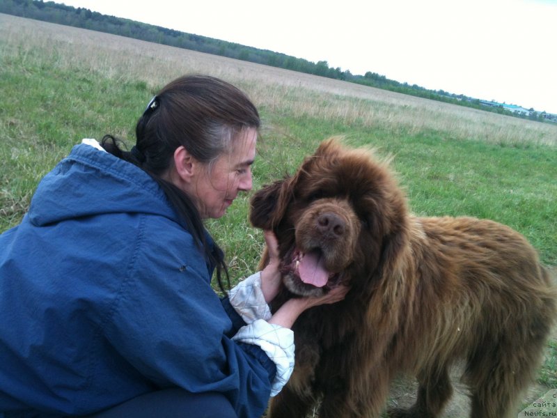 Фотография № 153108