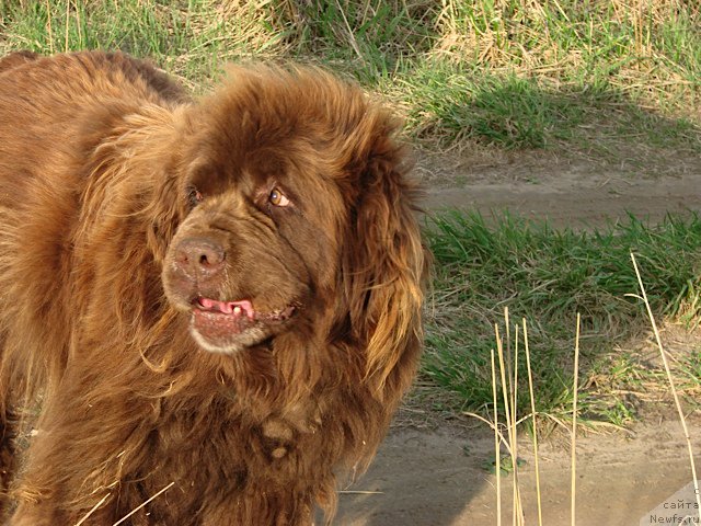 Фотография № 153109