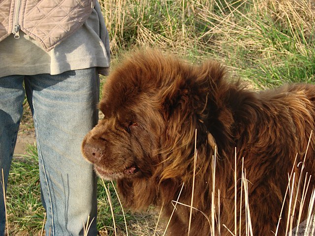 Фотография № 153110