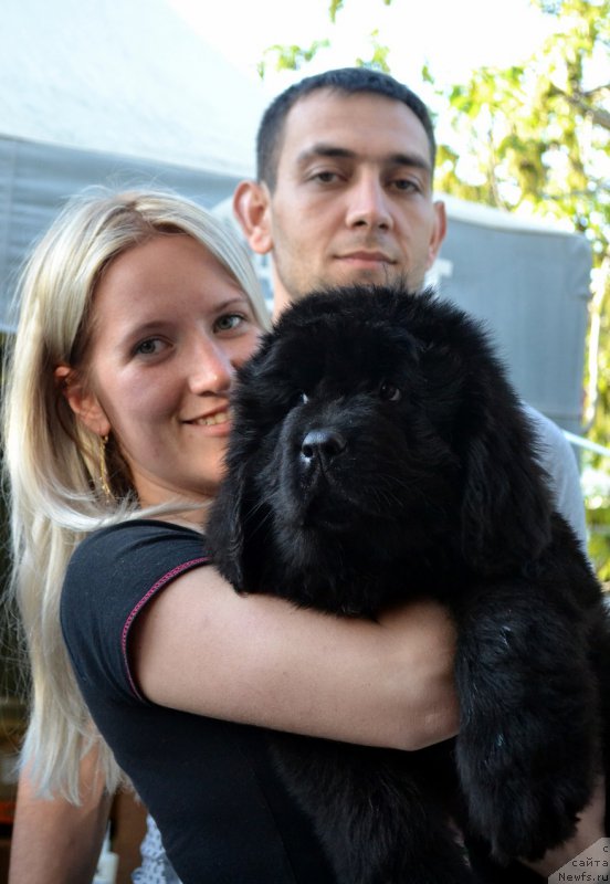 Фото: Шамбор Кара Дениз