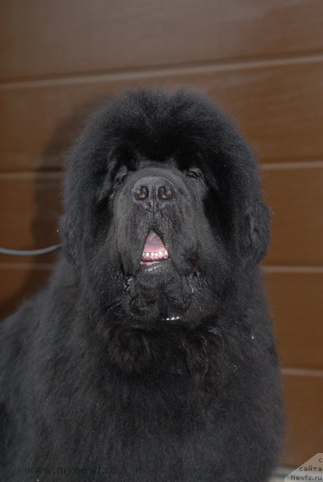 Фотография № 153133