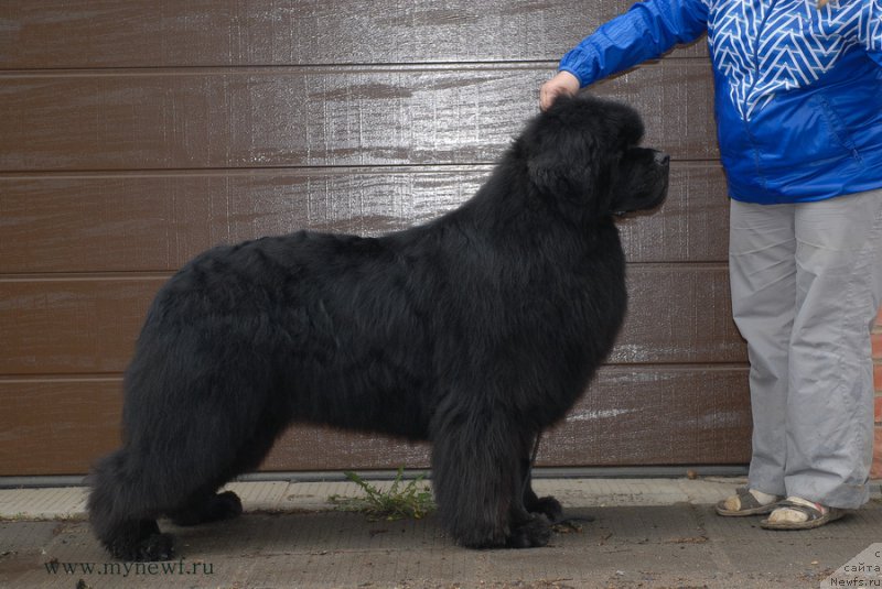 Фотография № 153137