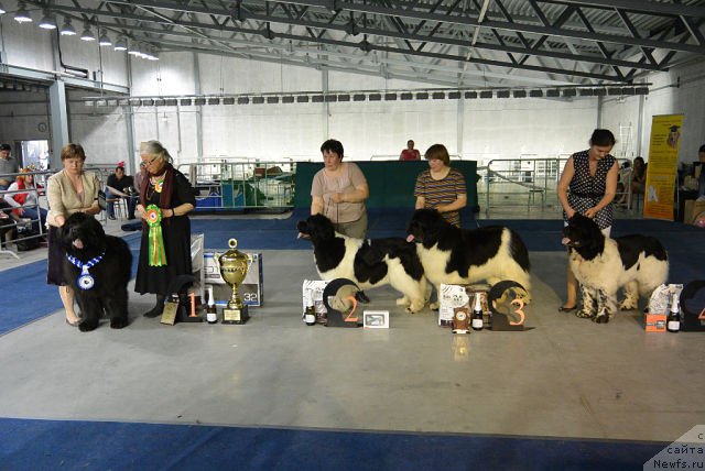 Фотография № 153151