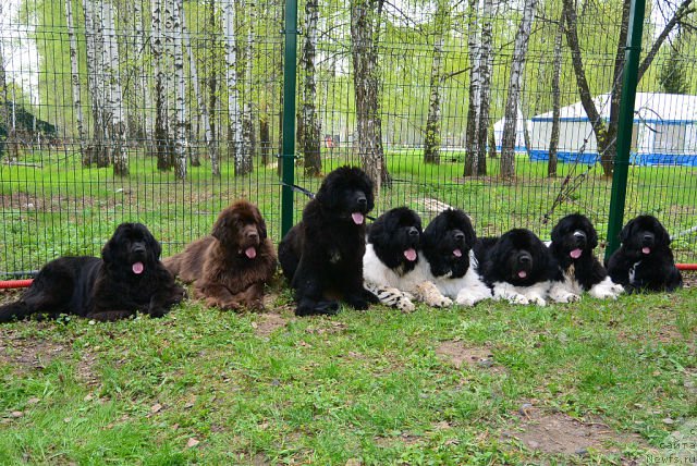 Фотография № 153154