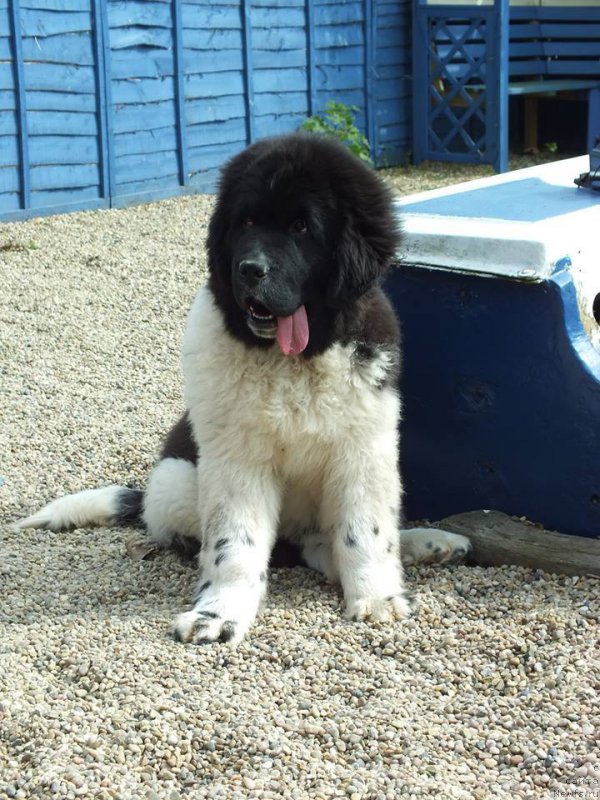 Фотография № 153161