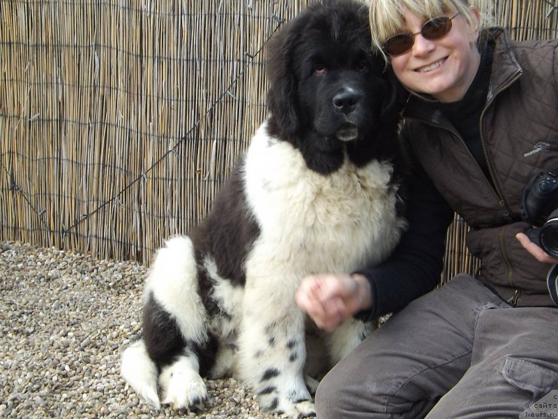 Фотография № 153164