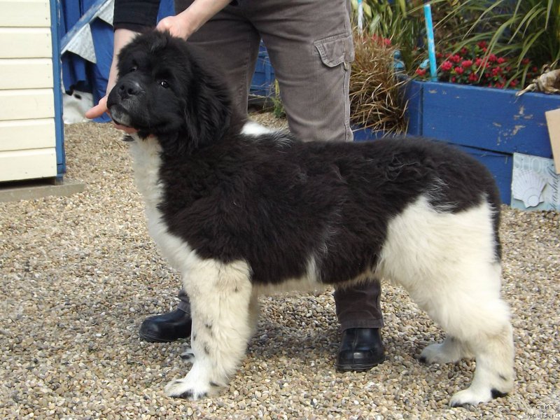 Фотография № 153170