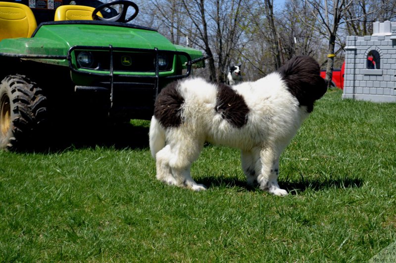 Фотография № 153171