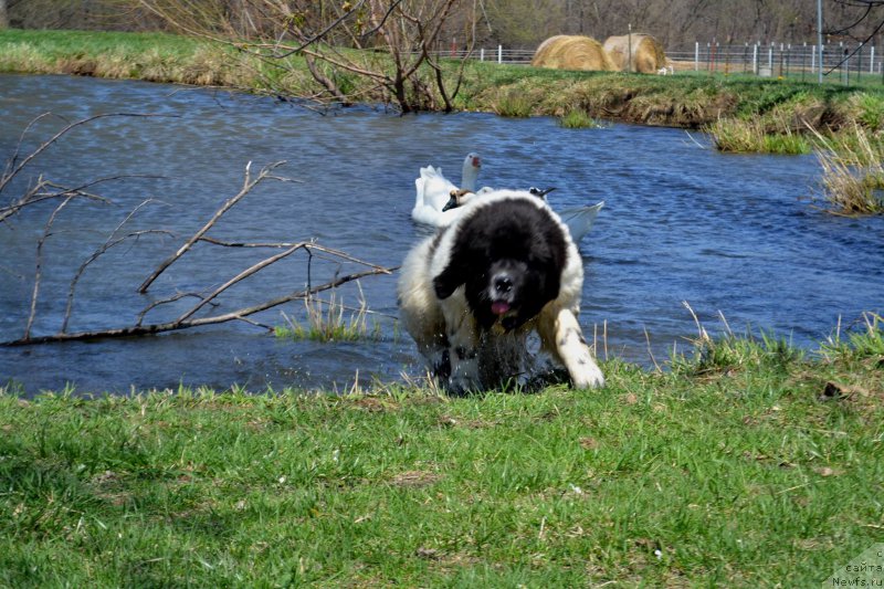 Фотография № 153172