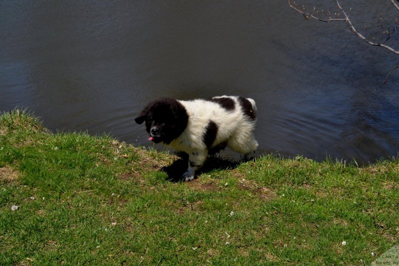 Фотография № 153174