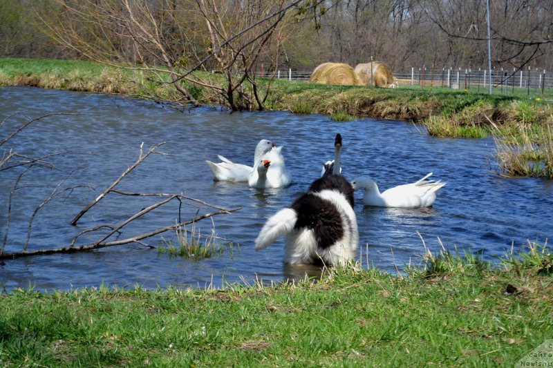 Фотография № 153175