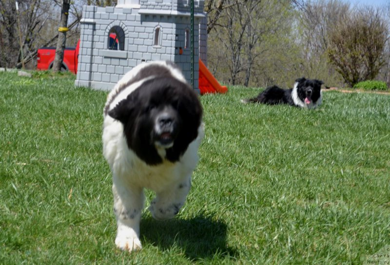 Фотография № 153176