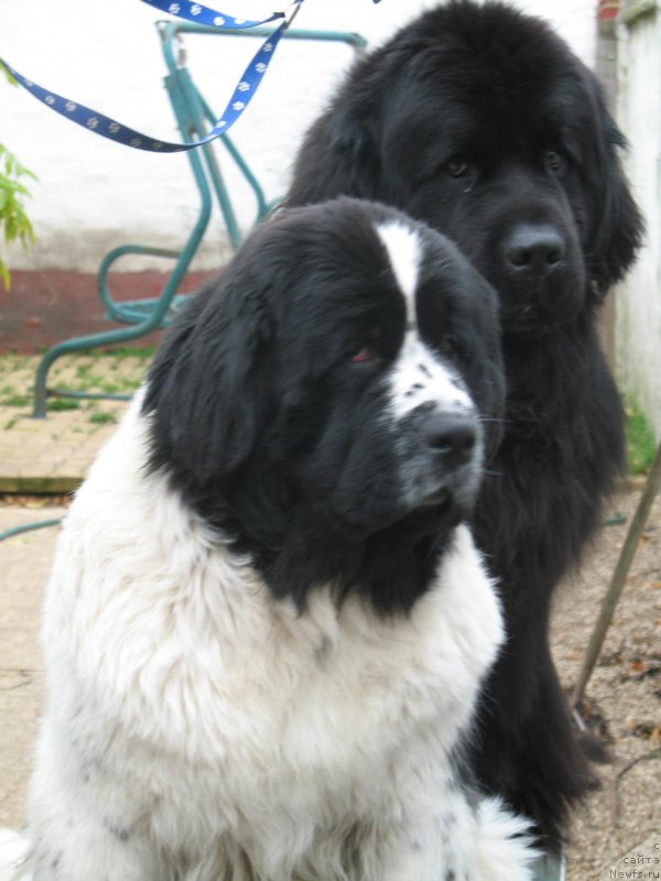 Фотография № 153184