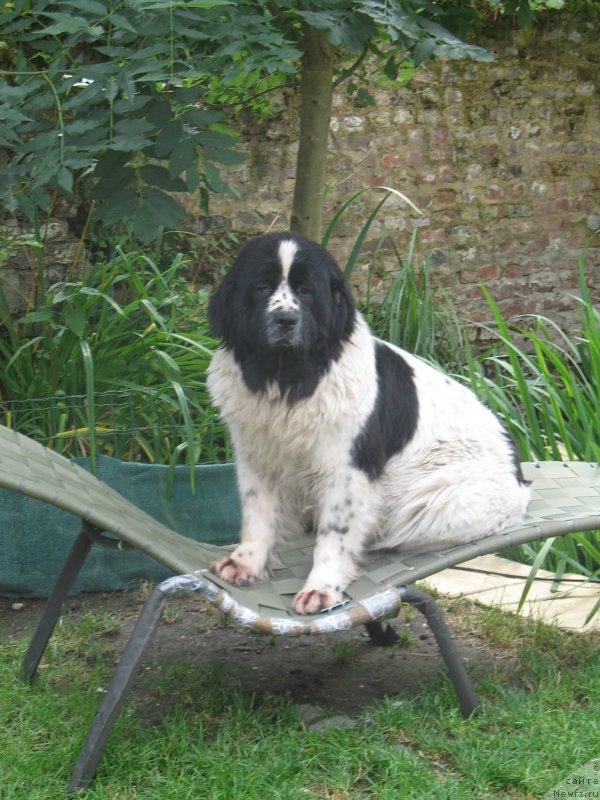 Фотография № 153185