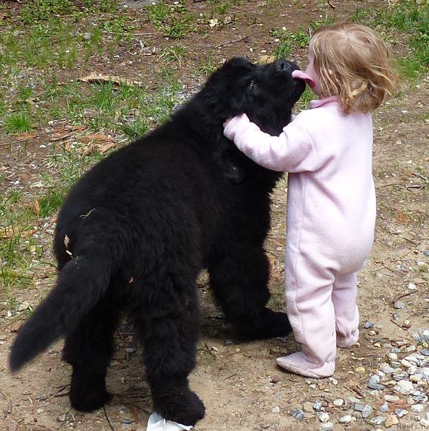 Фотография № 153194