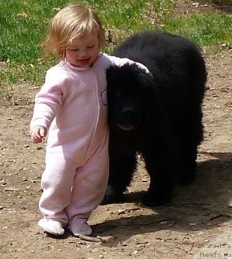 Фотография № 153197