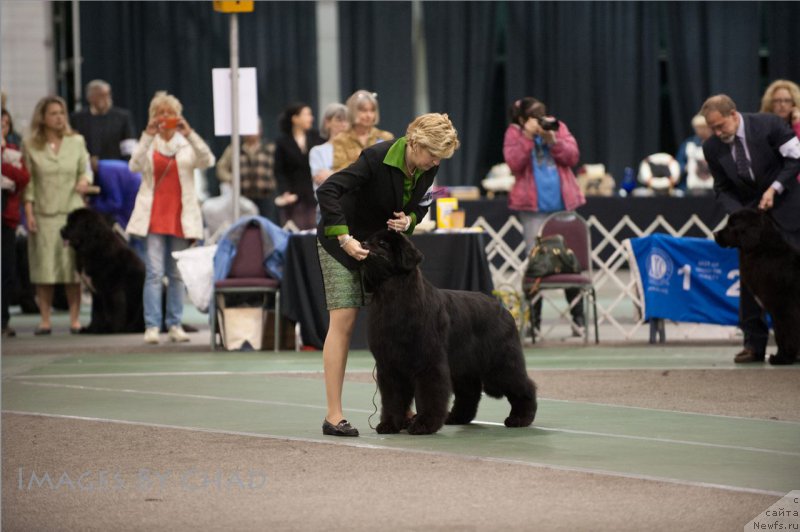 Фотография № 153199