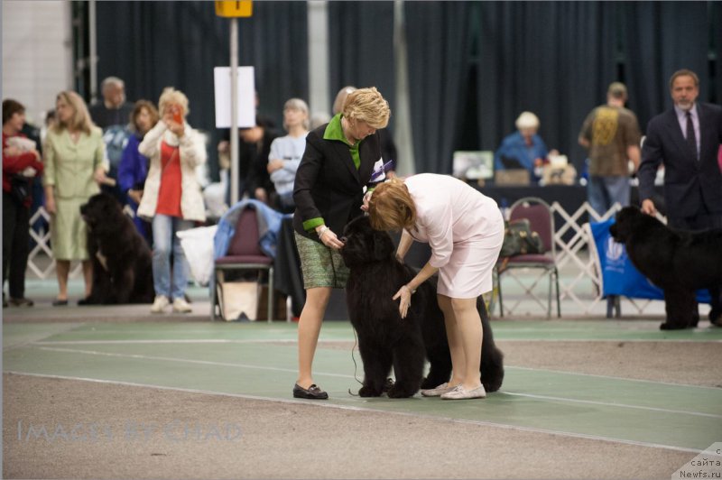 Фотография № 153200