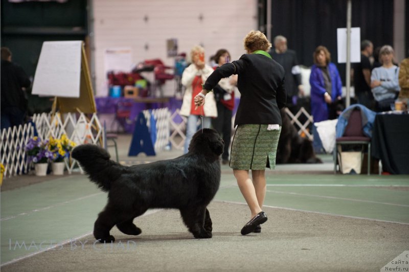 Фотография № 153201