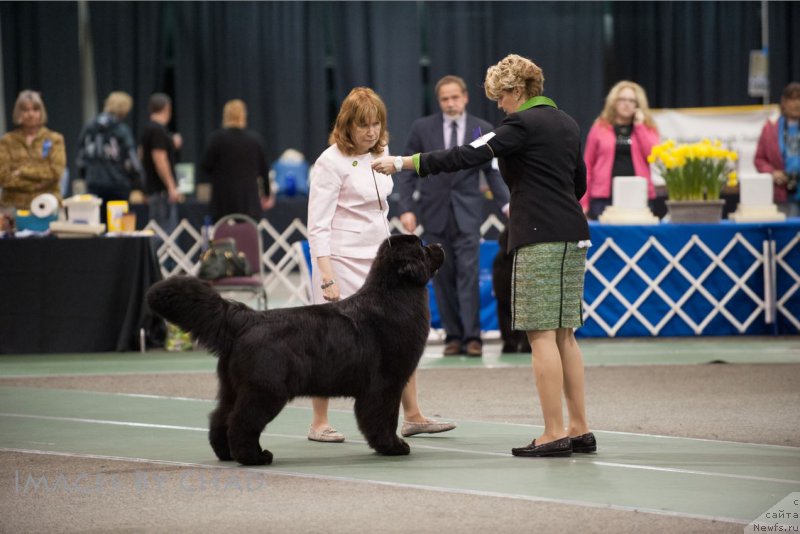 Фотография № 153203