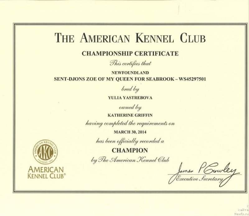 Фотография № 153207