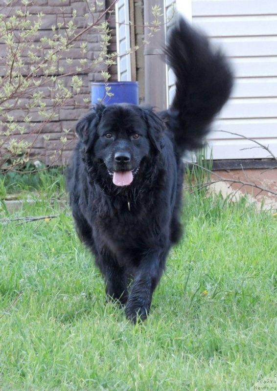 Фотография № 153240