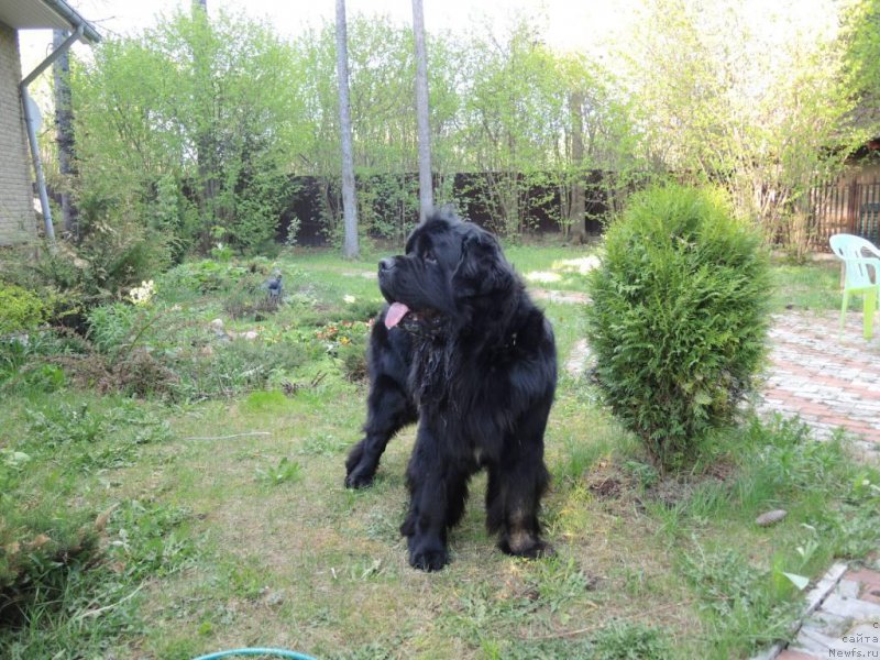 Фотография № 153245