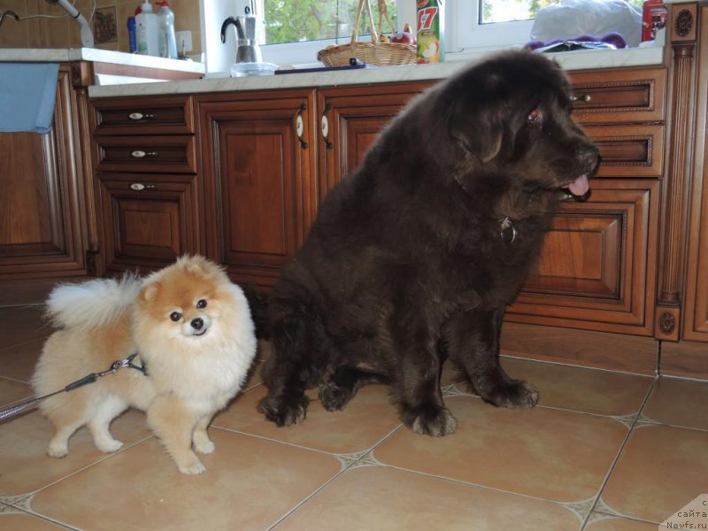 Фотография № 153248