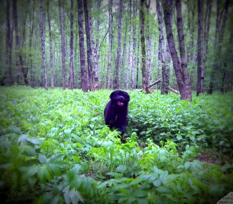 Фотография № 153321