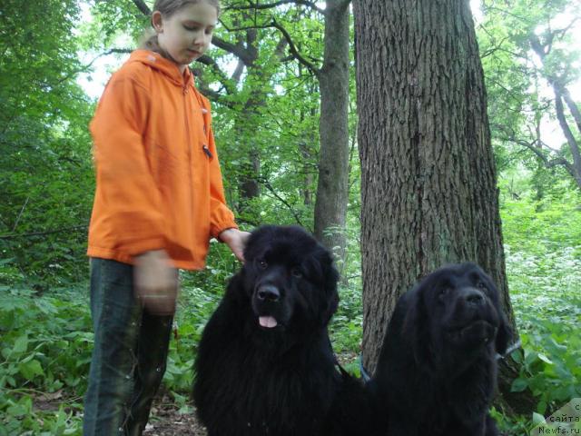 Фотография № 15335