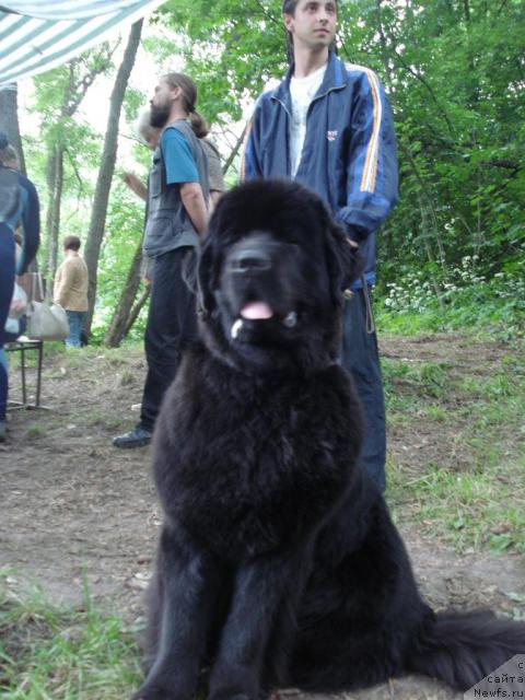 Фотография № 15336