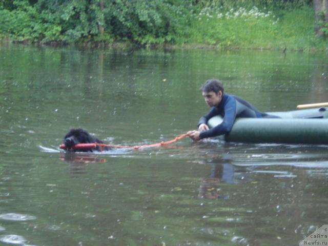 Фотография № 15339