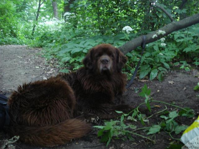 Фотография № 15340