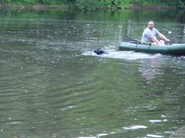 Фотография № 15341