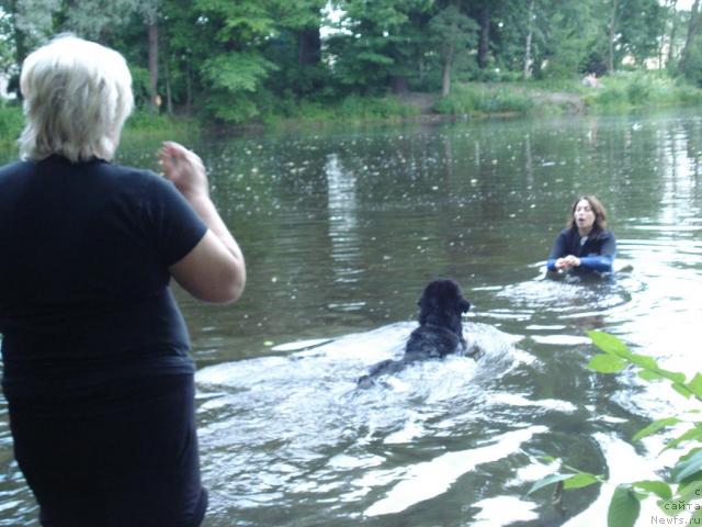 Фотография № 15343