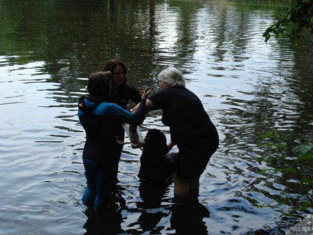 Фотография № 15344