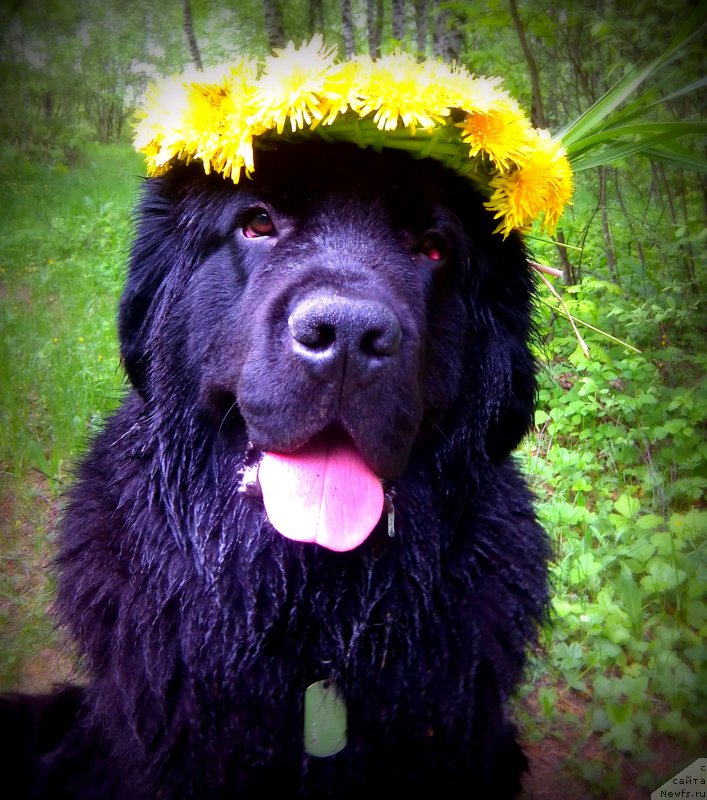 Фотография № 153466