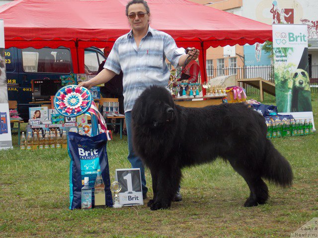 Фотография № 153468