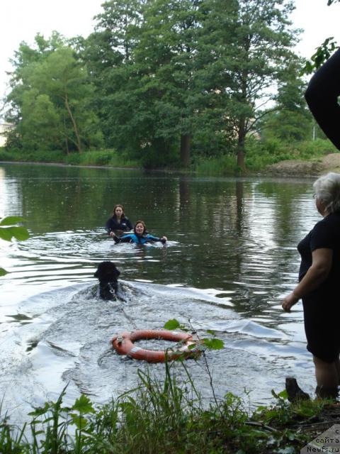 Фотография № 15347