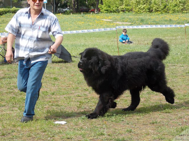 Фотография № 153477