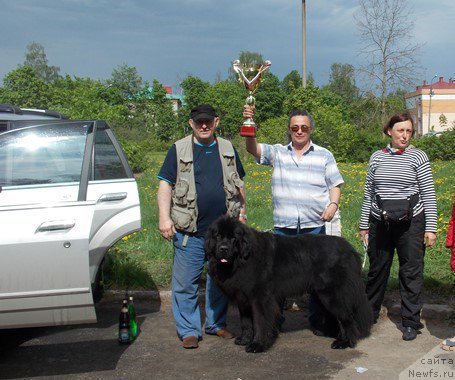 Фотография № 153478