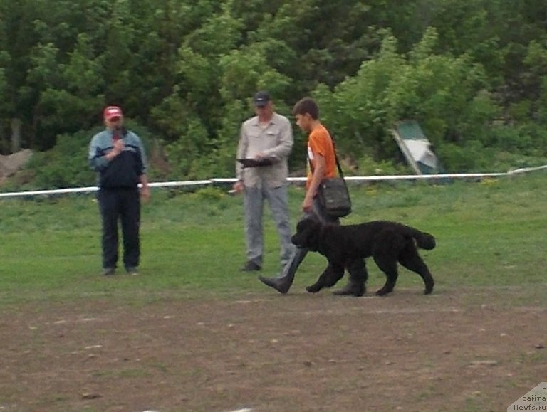 Фотография № 153492